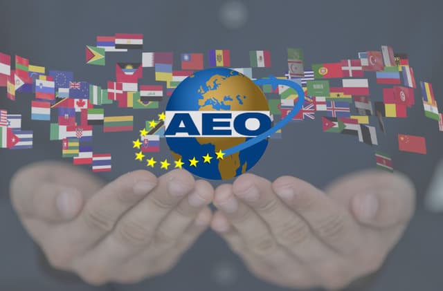 Autoevaluarea și identificarea riscurilor  în procesul de autorizare a AEO