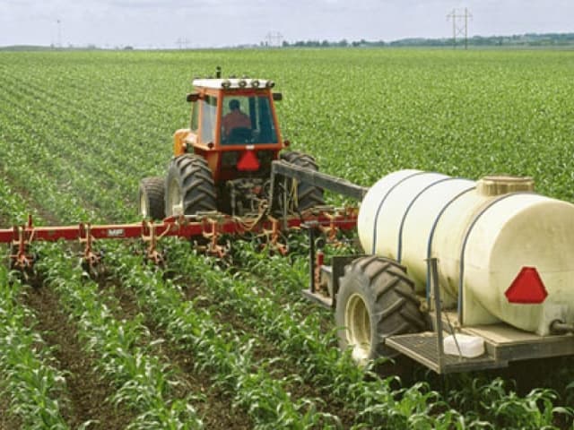 Agricultura îşi recapătă poziţia de ramură principală a economiei. Numărul persoanelor angajate în domeniu a sporit cu 11%