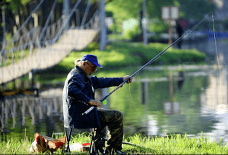 Рыба во весь голос 