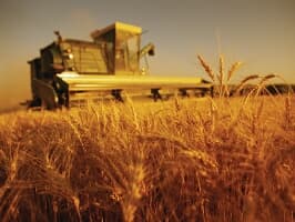 Banca Mondială va oferi R. Moldova un grant în valoare de 25,3 mln de dolari