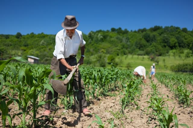 Capacităţile agricultorilor de adaptare la schimbările climatice vor fi îmbunătăţite