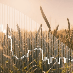 Объем сельхозпроизводства сократился в 2022 г. почти на 30%