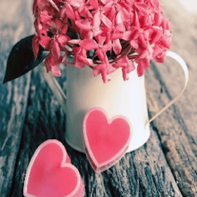 Monitorizarea contribuabililor din domeniile comerț cu flori și HoReCa