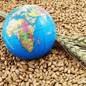 Мировые цены на продовольствие в январе снизились на 0,8%