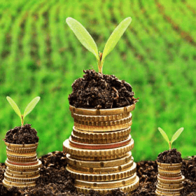 Programul de rambursare a TVA pentru producătorii agricoli