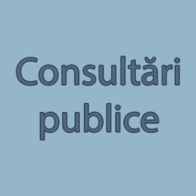 Proiectul Registrului de evidență a procurărilor pentru persoanele fizice care desfășoară activitate independentă, înaintat pentru consultări publice