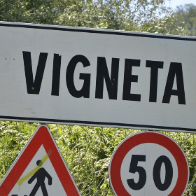 Vinieta, în cazul accidentării autoturismului neînmatriculat