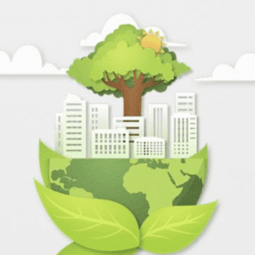 Precizările Serviciului Fiscal de Stat referitor la taxa de salubrizare