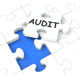 Dimensionarea subdiviziunilor de audit intern din cadrul APC