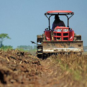 Cheltuielile producătorilor agricoli suportate la achiziționarea fertilizanților vor fi compensate parțial