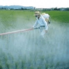 Cum se va realiza schimbul interactiv de informații dintre apicultori și agricultorii care utilizează produse de uz fitosanitar