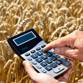 Măsurile de subvenționare complementară, aprobate 