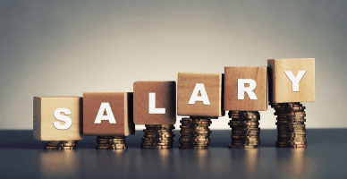 În ce domenii au fost înregistrate cele mai mari salarii în anul 2022?