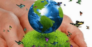 POLMED23 pentru perioadele fiscale începând cu luna octombrie 2023