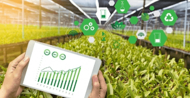  În RM va fi creată rețeaua de colectare a informațiilor contabile privind activitatea economică a exploatațiilor agricole