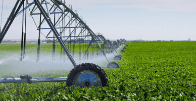  Ultima zi de recepționare a cererilor pentru acordarea subvențiilor în avans la proiectele de îmbunătățiri funciare