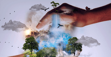 Noile modificări la taxa pentru poluarea mediului, în întrebări și răspunsuri