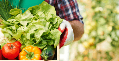 GȚ și producătorii casnici – aspecte specifice organizării comerțului cu producție agroalimentară