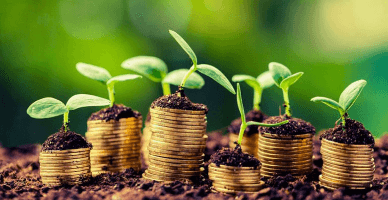 Expiră termenul de depunere a cererilor de solicitare a subvențiilor post-investiție