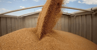 CSE a dispus măsuri privind importul grâului, porumbului și semințelor de floarea-soarelui