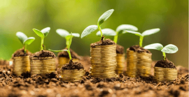 Expiră termenul pentru depunerea cererilor de subvenționare a investițiilor pe etape