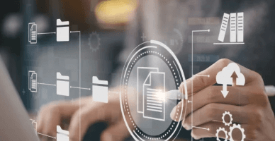 SI „Platforma de Analiză și Generare Rapoarte” în domeniul transportului rutier