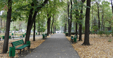 Serviciul public de salubrizare: ce activități va include?