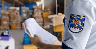 Serviciul Vamal: prevederi legale privind transportarea prin vamă a instrumentelor muzicale