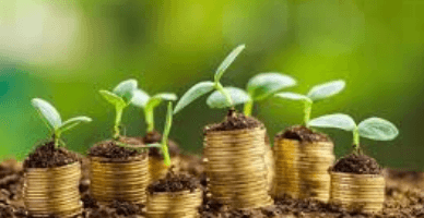 Cererile de acordare a subvențiilor complementare pentru unele măsuri pot fi depuse online