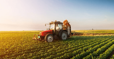 Volumul producției globale agricole, în creștere