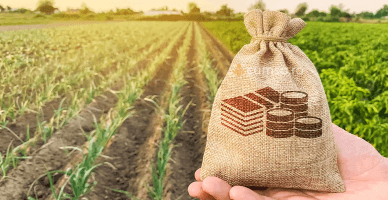  Va fi creată o rețea de colectare a informațiilor contabile agricole