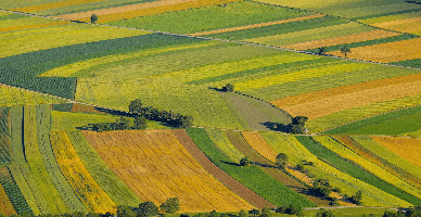 Proiectele de îmbunătățiri funciare: încă o lună pentru a depune dosarul în cadrul apelului III