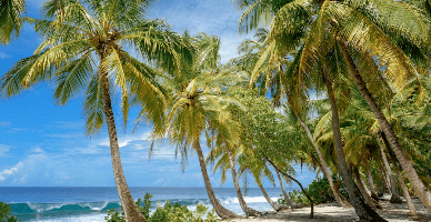 Acordarea concediilor. Linkuri utile