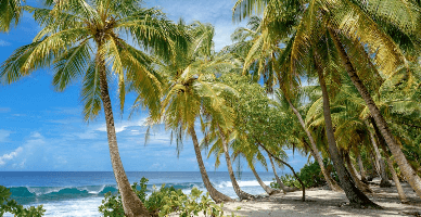 Acordarea concediilor. Linkuri utile