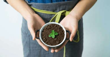 Проекты государственных капитальных вложений будут сопровождаться оценкой экологического воздействия