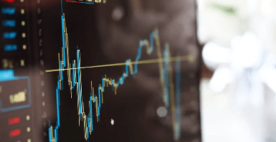  Piața valutară: cererea și oferta în luna iunie 2024