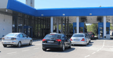 Aspecte aferente vinietei în Republica Moldova