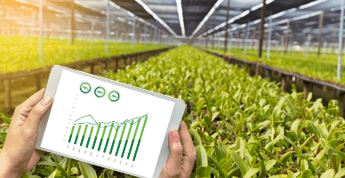 În Moldova va fi instituit „Registrul Fermierilor”  