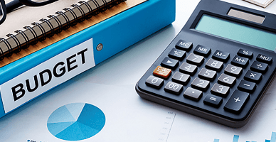 Serviciul Fiscal de Stat a publicat informații operative privind încasărileîn primele 8 luni 