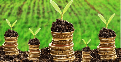 Минсельхоз объявил второй призыв подачи заявок на формы субсидирования поэтапных, постинвестиционных и авансовых выплат