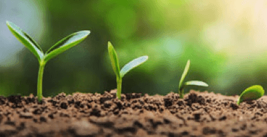 По итогам первых трех кварталов зафиксирован спад объемов производства в сельском хозяйстве