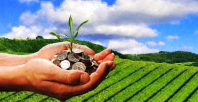 Sunt obligate persoanele fizice să achite impozitul pe venit în cazul unui schimb de terenuri agricole de aceiași bonitate și valoare?