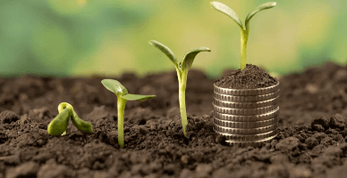 Metodologia de calcul a pierderilor cauzate de trecerea terenurilor cu destinație agricolă la o altă categorie va fi aprobată prin lege organică