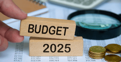 Legile bugetare pentru 2025 - aprobate în lectura a doua