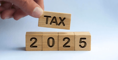 Исчисление и уплата местных налогов и сборов в 2025 году