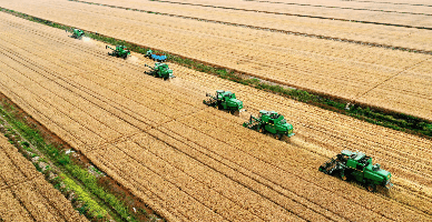 Programul Strategic al Politicii Agricole: fermierii și asociațiile agricole sunt invitați la consultări