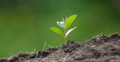 Subvenții în avans pentru proiectele investiționale de îmbunătățiri funciare: depunerea cererilor până la 28 februarie