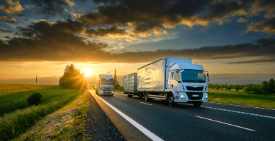 Transportul rutier internațional de mărfuri: noi cerințe vamale UE din 1 aprilie