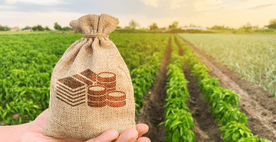 Механизм возмещения НДС  для сельскохозяйственных производителей