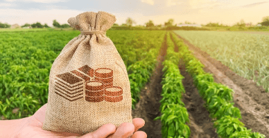 Impozitul funciar pentru anul 2024 va fi acoperit din contul TVA acumulat în contul agricultorilor